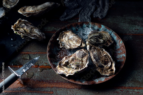 Opened fresh oysters on a dark background, a knife and water drops.