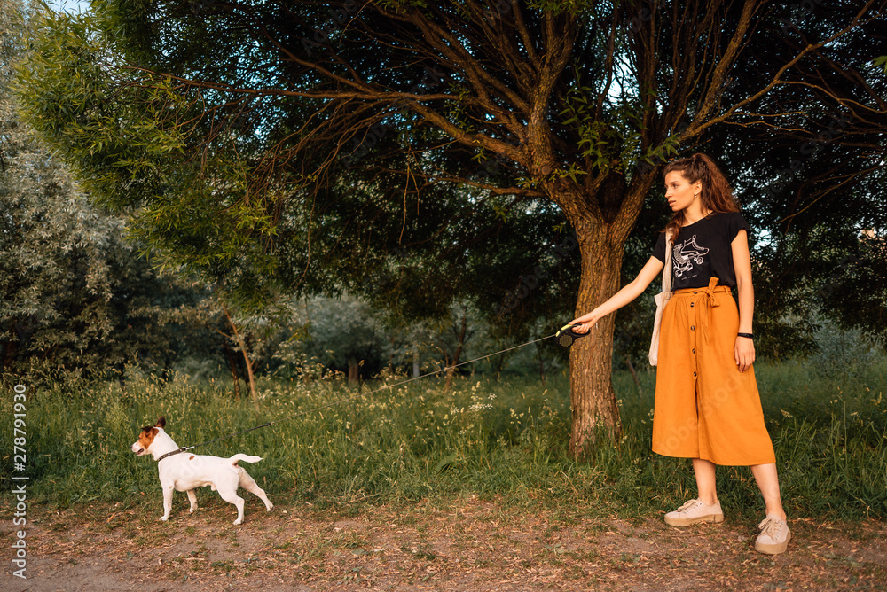 Fototapeta premium girl with dog play. person and pet together. little Jack Russell Terrier