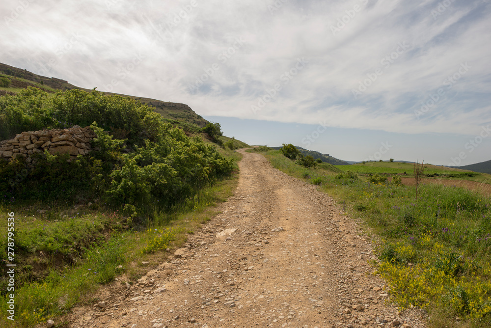 Valdelinares mountains in summer a sunny day Valdelinares mountains in summer a sunny day