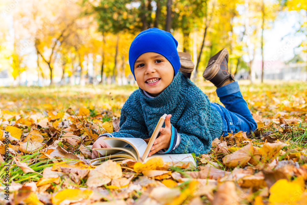 boy lying on his stomach reading a book in the fall in the Park boy lying on his stomach reading a book in the fall in the Park