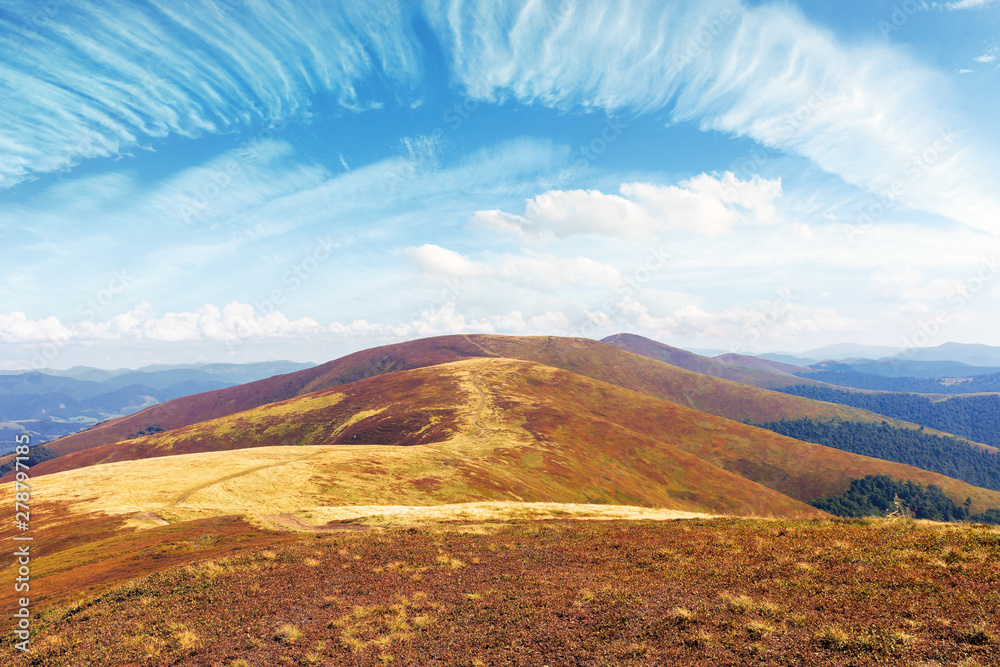 mountain range rolling far away in to the horizon. beautiful summer landscape. sunny weather with clouds on the sky. path through the ridge in to the distance. wonderful travel destination of ukraine