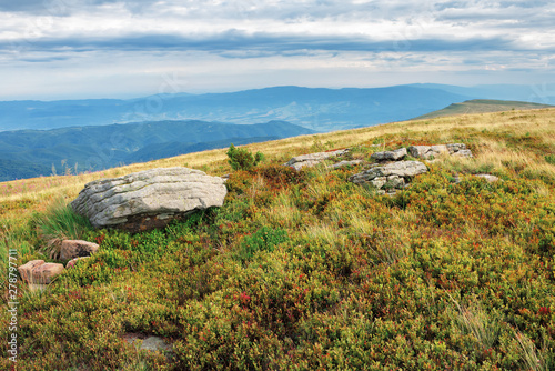 grassy meadow with boulder on top of a hill. beautiful summer landscape in mountains. gloomy weather with overcast sky. ridge in the distance. rocks among the european blueberry plant