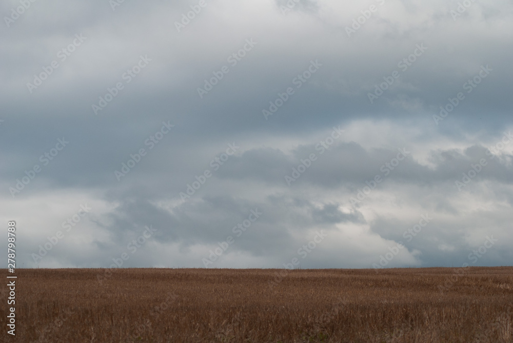 rain clouds on the horizon, clouds gathering over the agricultural field, rain clouds on the horizon, clouds gathering over the agricultural field,