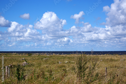 paysage sur l'ile de Saaremaa, Estonie