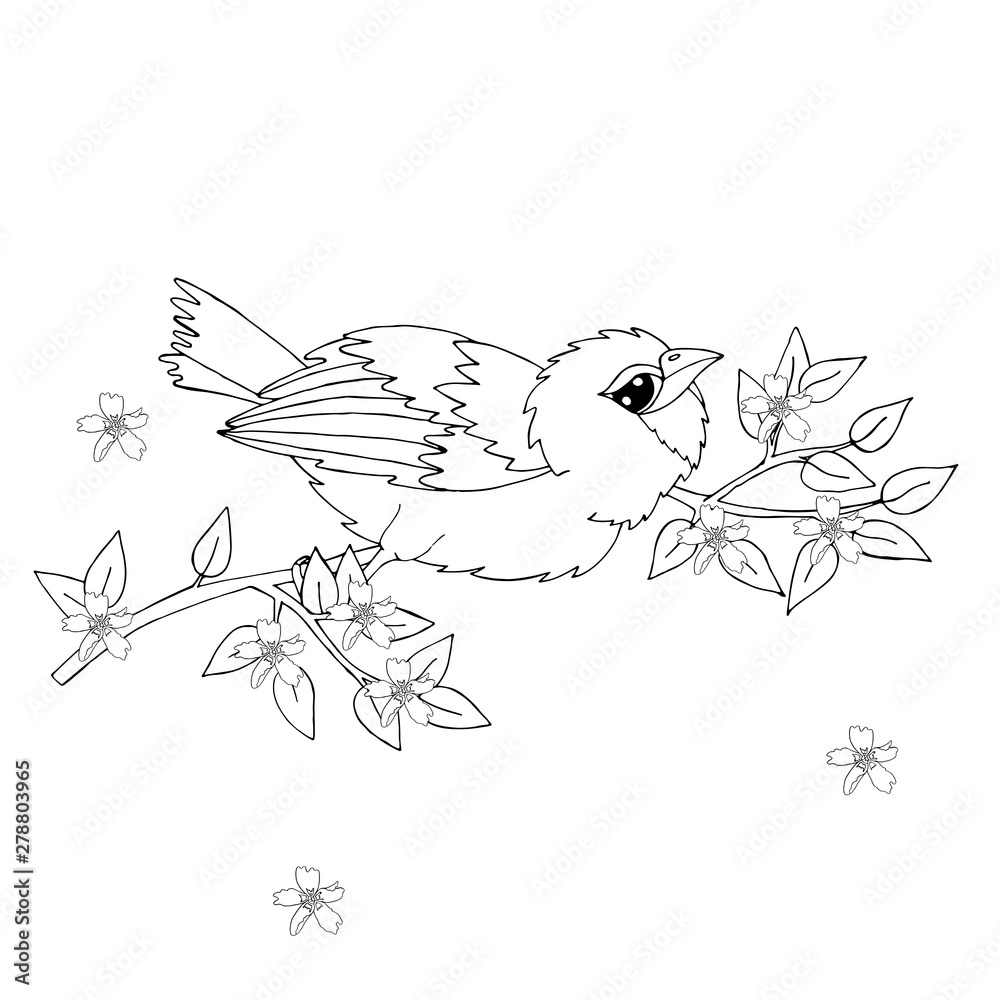 Obraz premium Cartoon bird for coloring book or pages