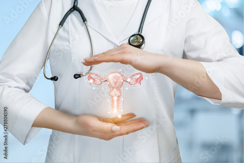 The concept of protecting the health of the female uterus. photo