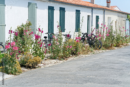 Roses trémières et vélos à l'ïle d'Aix