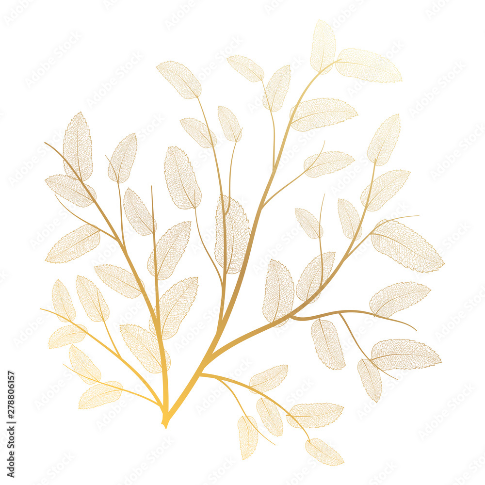Branch with leaves isolated. Vector illustration. Branch with leaves isolated. Vector illustration.