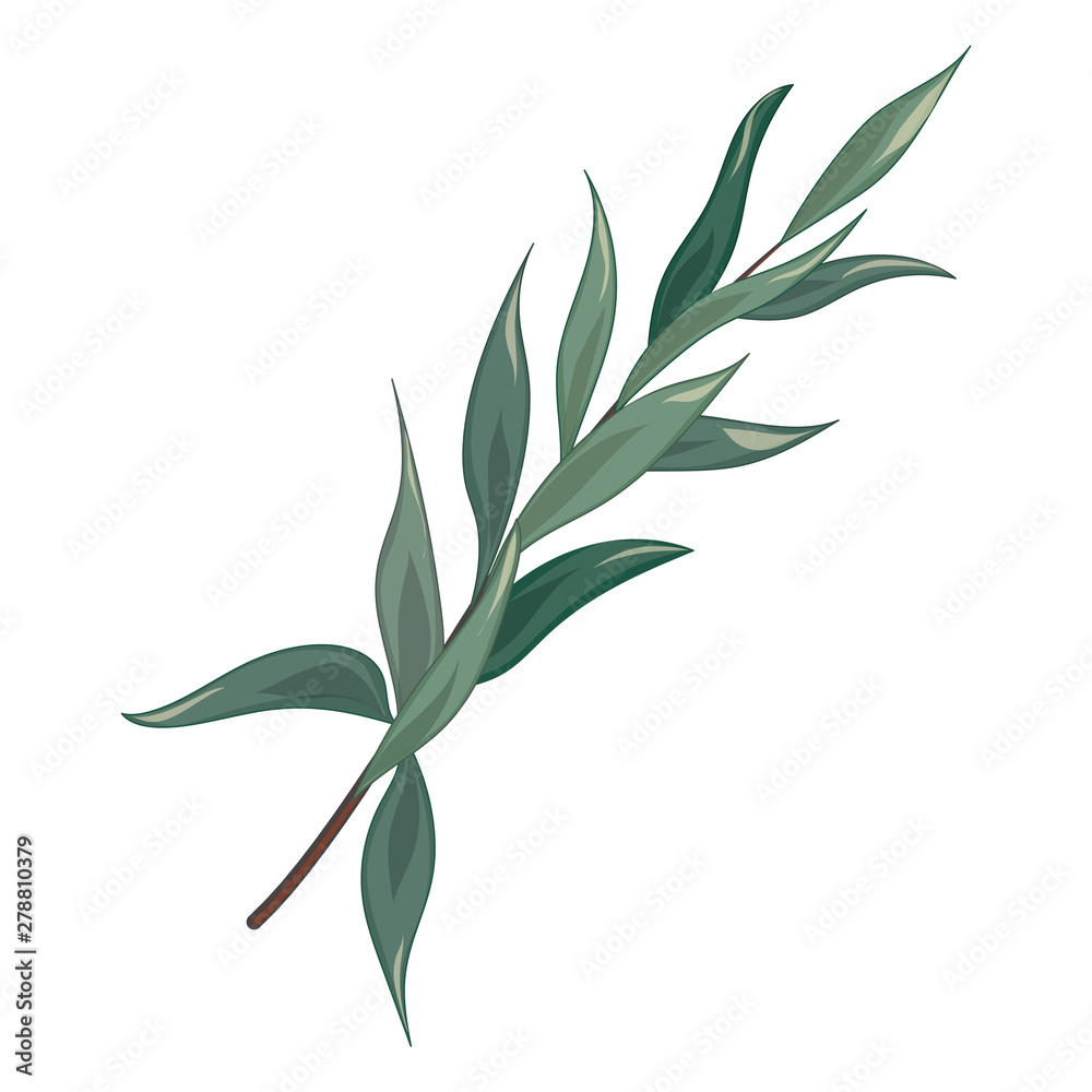 Fototapeta premium Art watercolor natural leaves elements. Vector illustration.