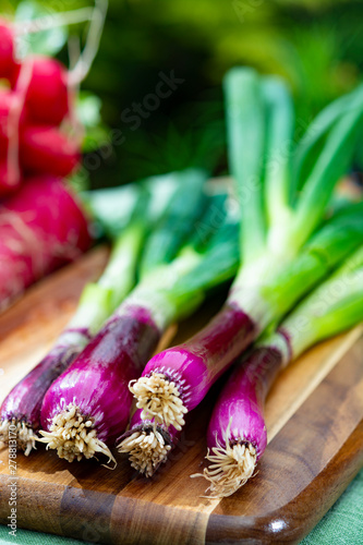 Bunches of fresh purple green onions  red radish and carrots  new harvest of healthy vegetables