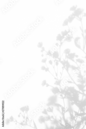 Gray shadows of the flowers and delicate grass on a white wall. Abstract neutral nature concept background. Space for text.