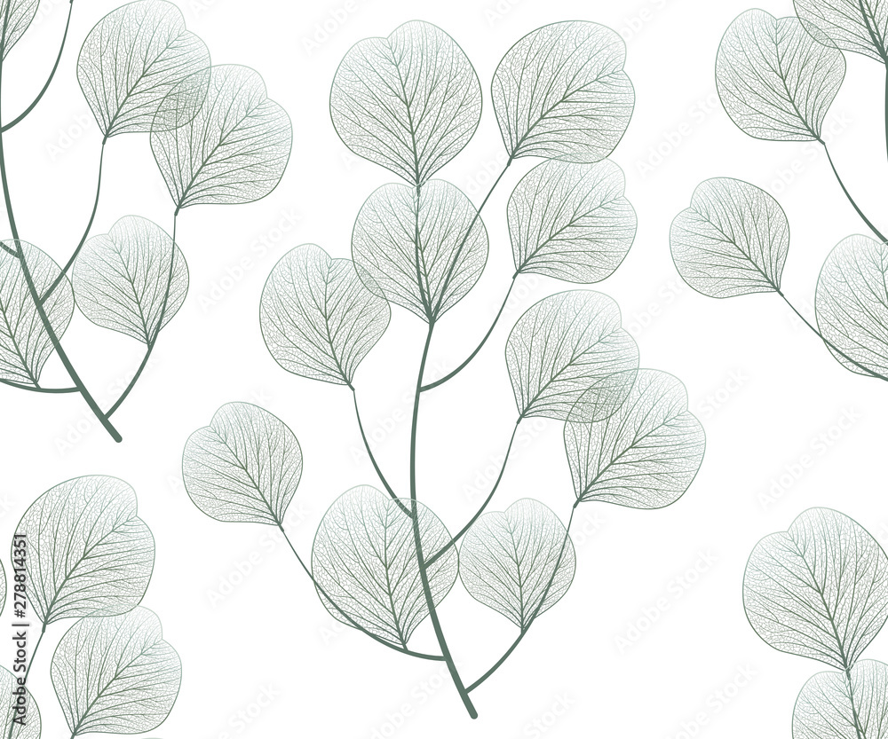 Seamless pattern with eucalyptus leaves.Vector illustration.