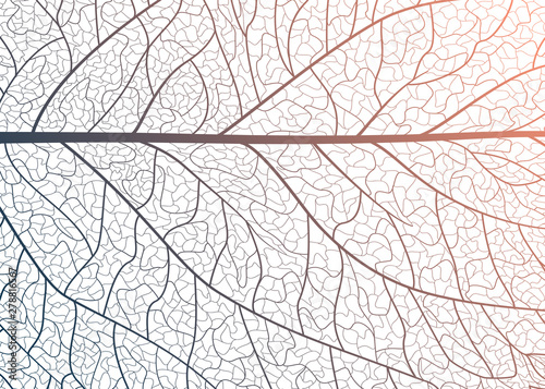 Background texture leaf. Vector illustration.