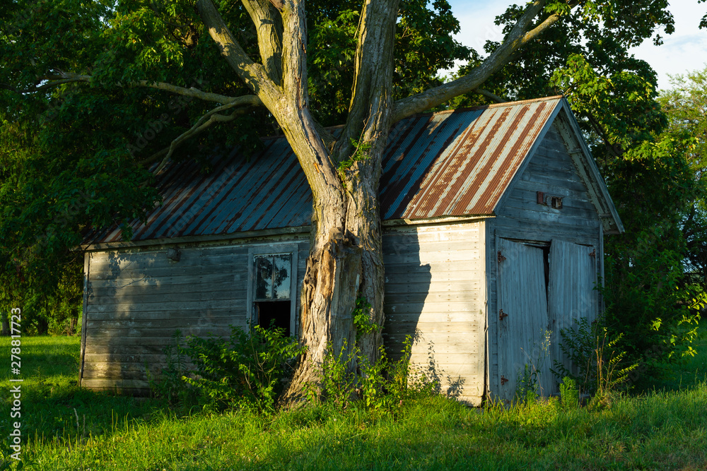 Obraz premium Wooden shed and tree