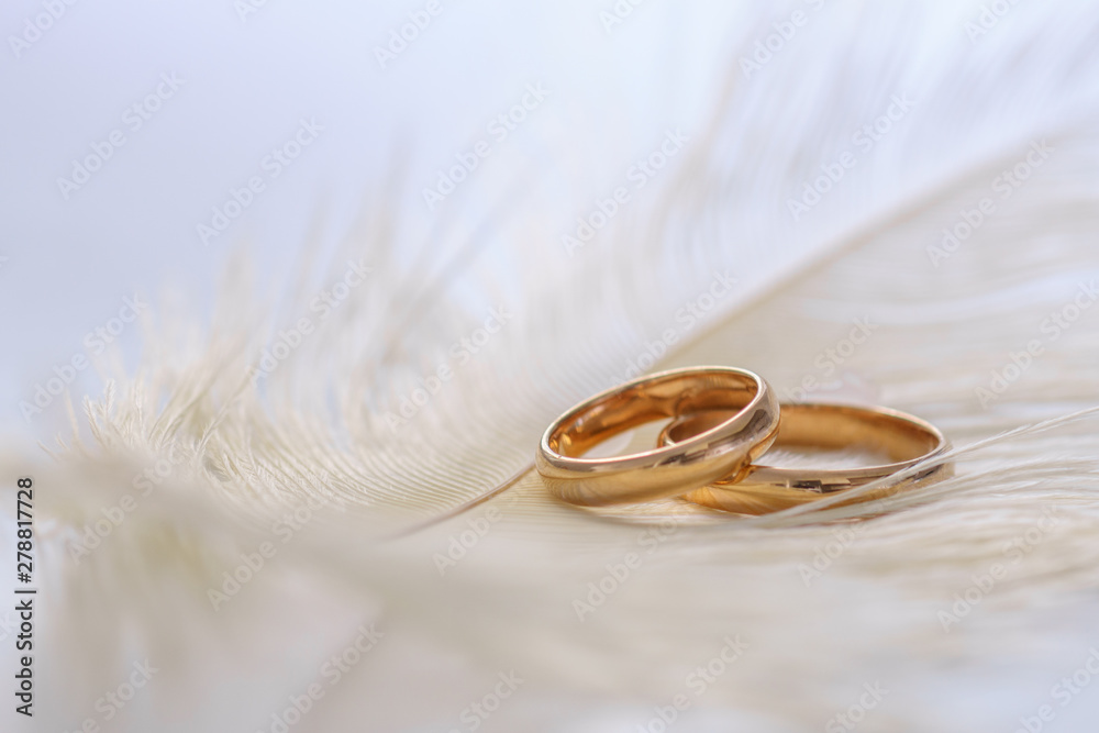 Wedding delicate background with rings and feather. Tenderness, tender love concept. Wedding delicate background with rings and feather. Tenderness, tender love concept.