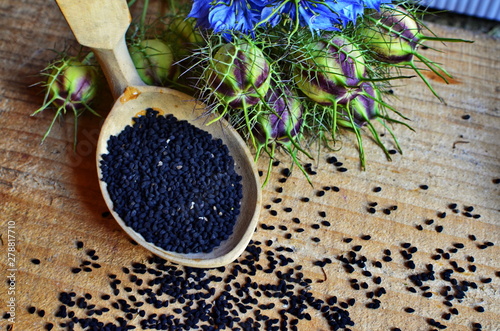 Black Cumin field , Nigella Sativa. photo