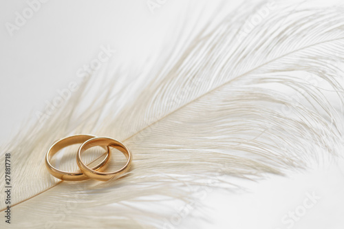 Wedding delicate background with rings and feather. Tenderness, tender love concept.