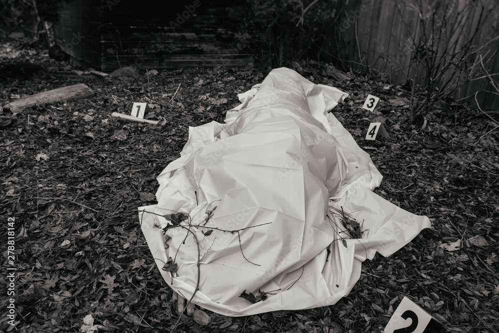 Φωτογραφία Victim of a violent crime under a sheet with fingers sticking in a rural yard