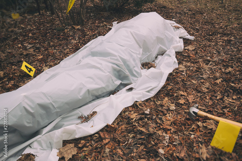 Victim of a violent crime under a sheet in a rural yard. With evidence markers and murder weapon. photo