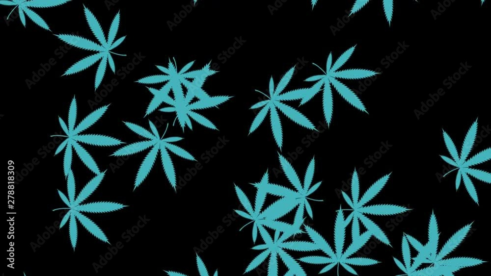 Minimal motion design animation. Cannabis leaves falling at color background. Abstract graphics in trendy colors and style. Seamless looping animation. Minimal motion design animation. Cannabis leaves falling at color background. Abstract graphics in trendy colors and style. Seamless looping animation.