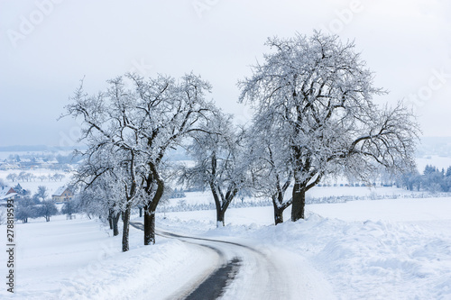 Winter landscape. Slippery snow-covered road between frost-covered trees leads to the village.