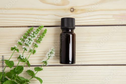 one bottle of peppermint essential oil and fresh mint of brunch on wooden background