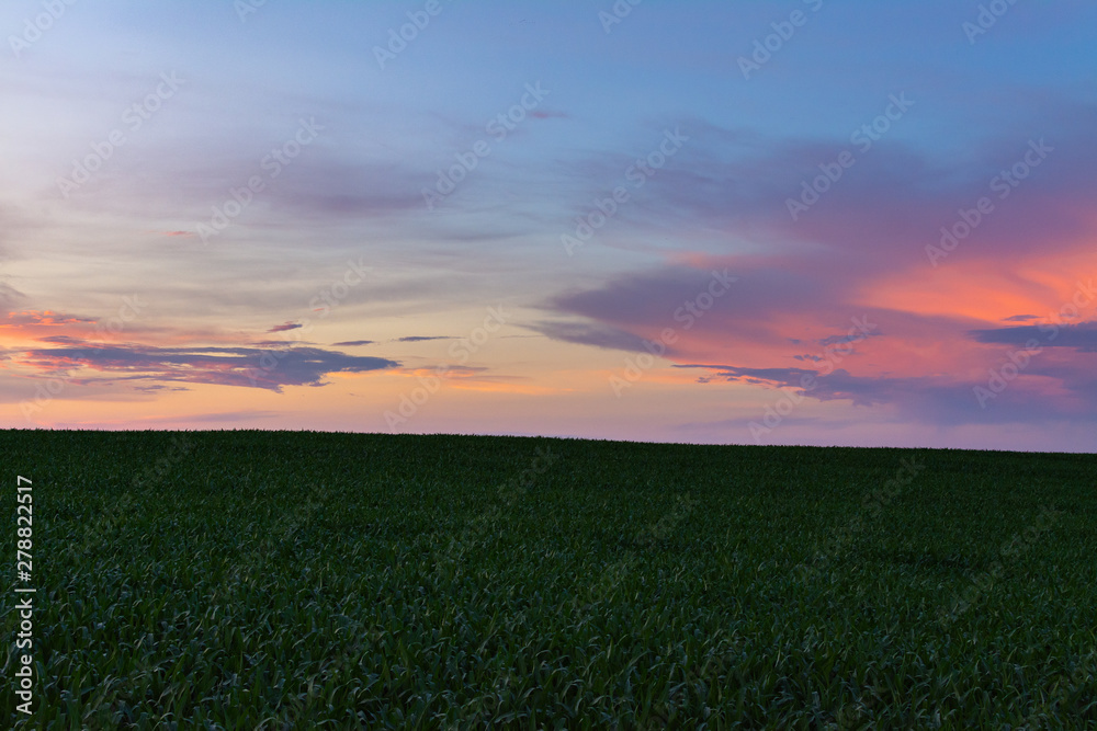 Dusk in rural Illinois