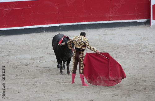 torero toreando en la plaza de toros