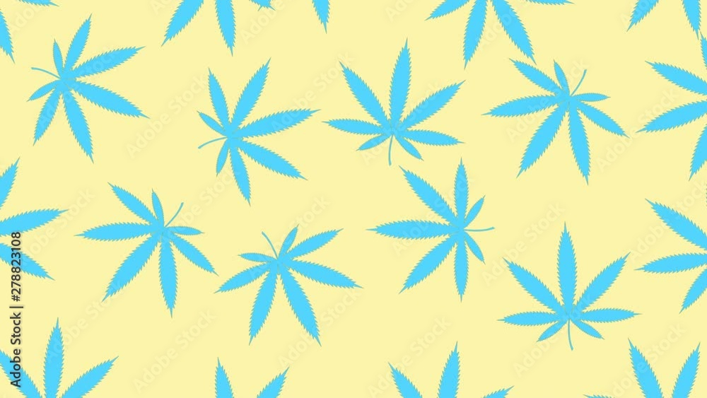 Minimal motion design animation. Cannabis leaves wiggle at color background. Abstract graphics in trendy colors and style. Seamless looping animation. Minimal motion design animation. Cannabis leaves wiggle at color background. Abstract graphics in trendy colors and style. Seamless looping animation.