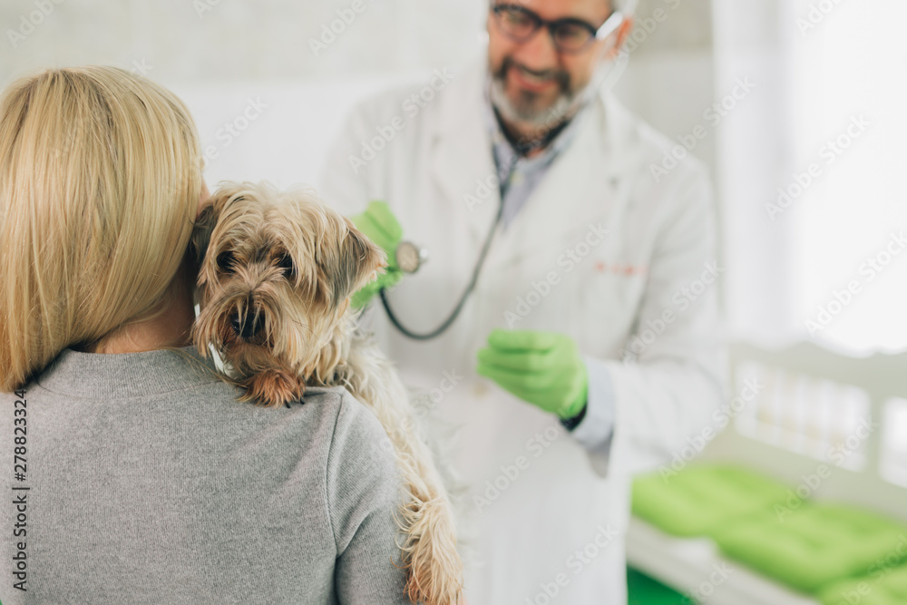 woman consulting with her veterinarian about her pet at veterinary clinic woman consulting with her veterinarian about her pet at veterinary clinic