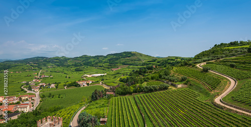 Soave, Italy. Country road among the vineyards on the hills. © Anatolii