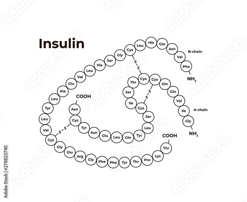 Vector hormones minimalistic banner template. Insulin structure isolated on white background. Associated with diabetes, pancreas. Design for education, presentation, poster.