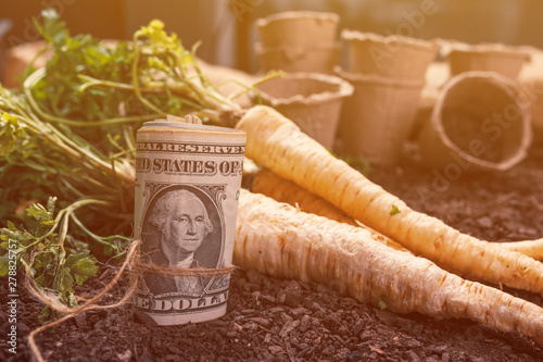 Making profit from organic parsley farming