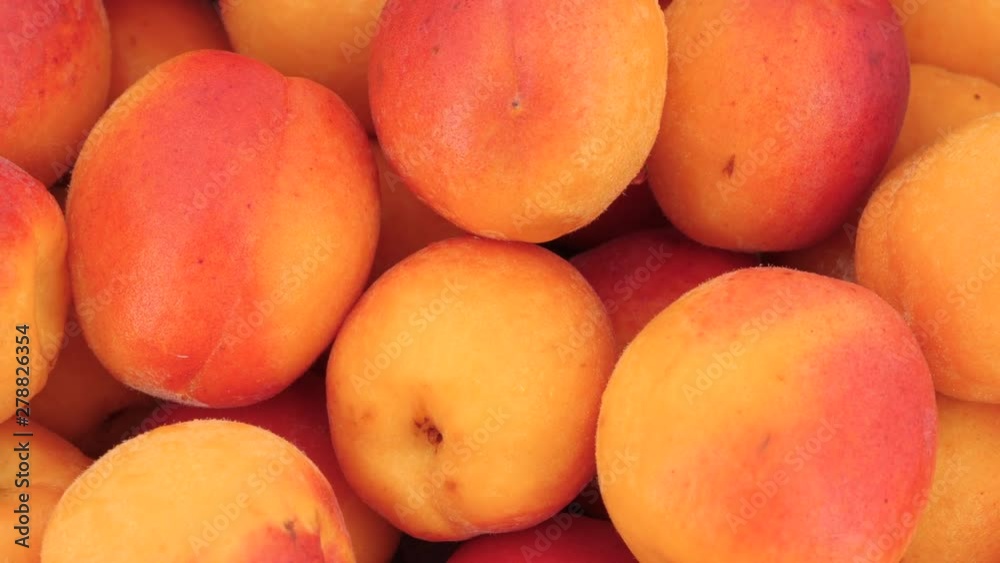 Delicious fresh apricots rotating, (loopable). Filmed in 4K Delicious fresh apricots rotating, (loopable). Filmed in 4K
