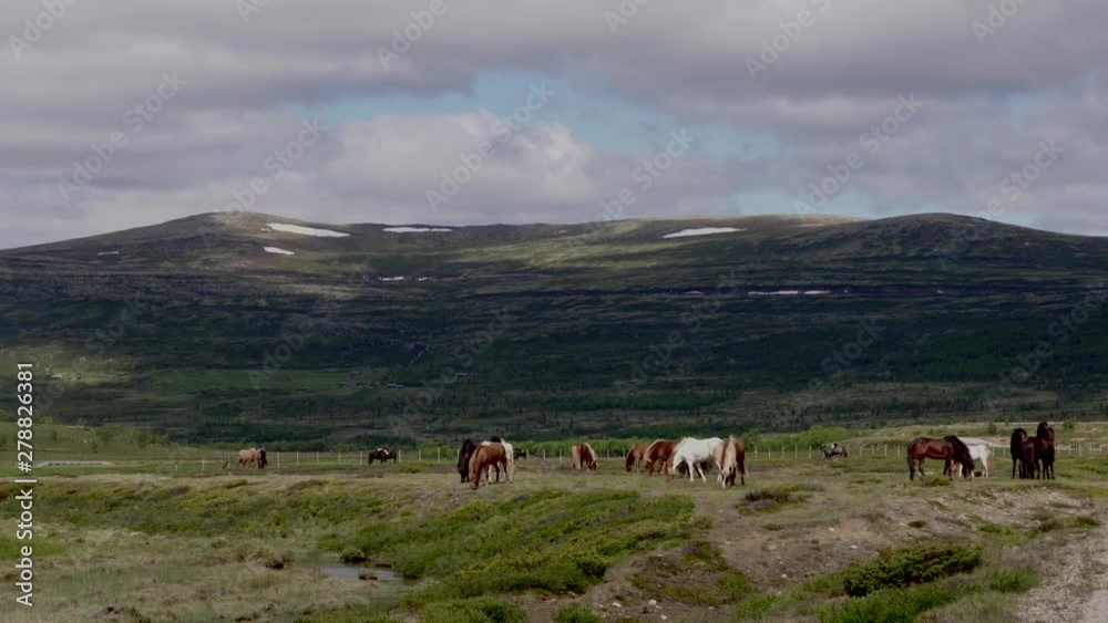 Wide angle shot of a herd of horses in an enclosed pen, set in a mountain range. Wide angle shot of a herd of horses in an enclosed pen, set in a mountain range.