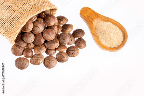 Seeds and powder of Sacha Inchi - Plukenetia volubilis. Text space