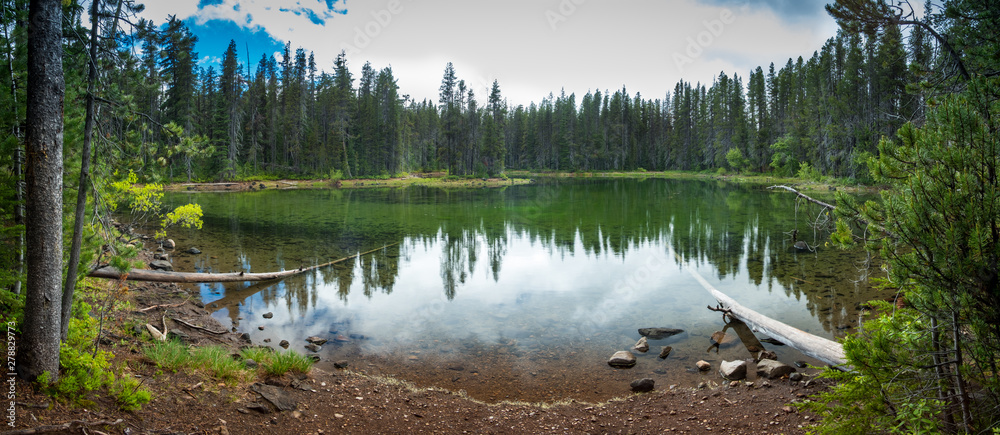 Woods Reflections