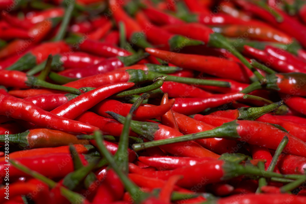 agriculculture, farming, crops, farm produce agriculculture, farming, crops, farm produce