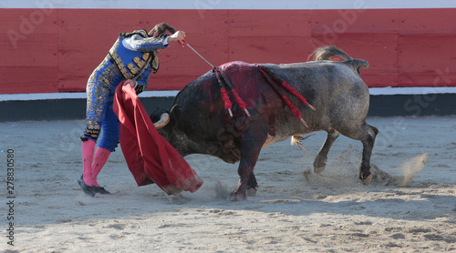 torero matando un toro en plaza de toros