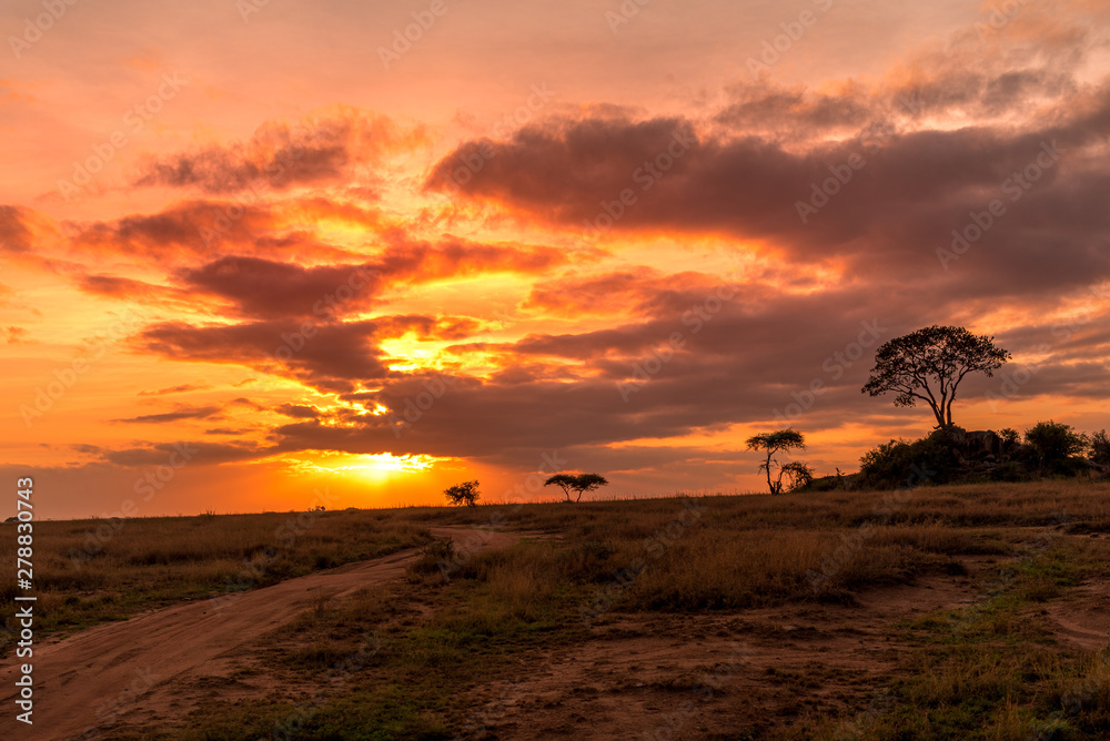 Beautiful and spectacular sunrise over the plains of the Serengeti, Tanzania