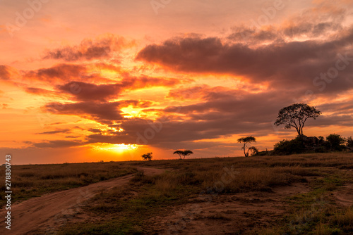 Beautiful and spectacular sunrise over the plains of the Serengeti, Tanzania