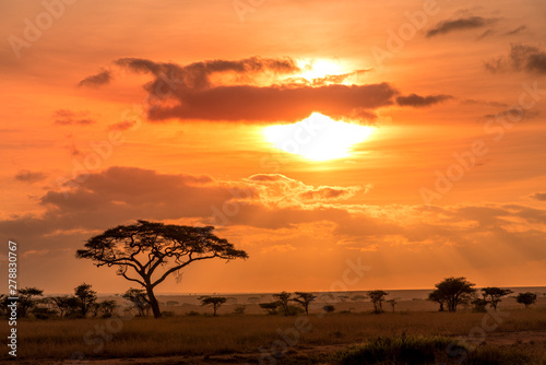 Beautiful and spectacular sunrise over the plains of the Serengeti, Tanzania © Ivan