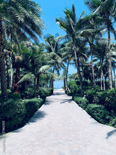 Enter to the Miami South Beach