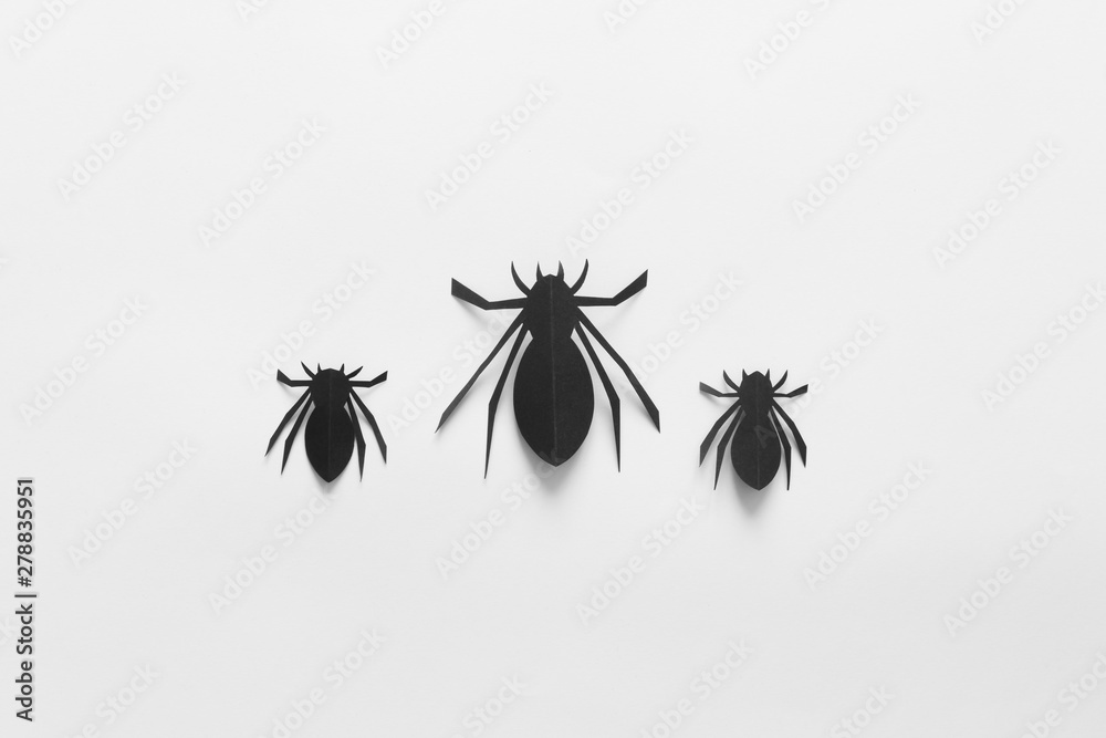 Spiders on white background. Halloween holiday concept. Top view, flat lay