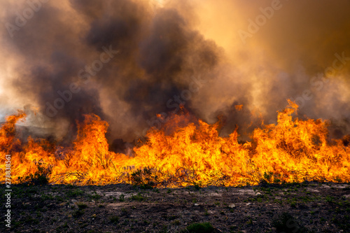Wildfire flames in landscape © Patrick Ryan