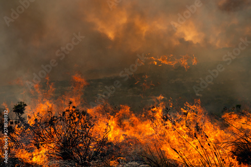 Fire burning across landscape