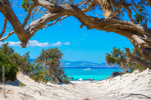 Fototapeta Naklejka Na Ścianę i Meble -  Exotic Chryssi island at the south of Crete, with the amazing Golden Beach, Greece