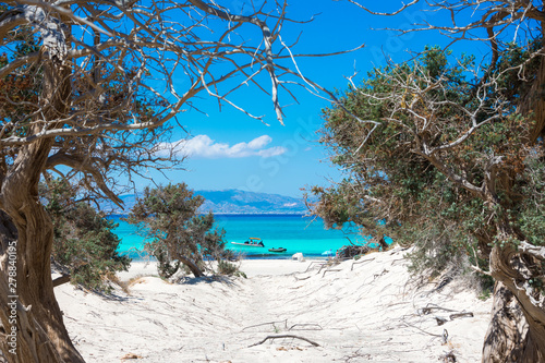 Fototapeta Naklejka Na Ścianę i Meble -  Exotic Chryssi island at the south of Crete, with the amazing Golden Beach, Greece