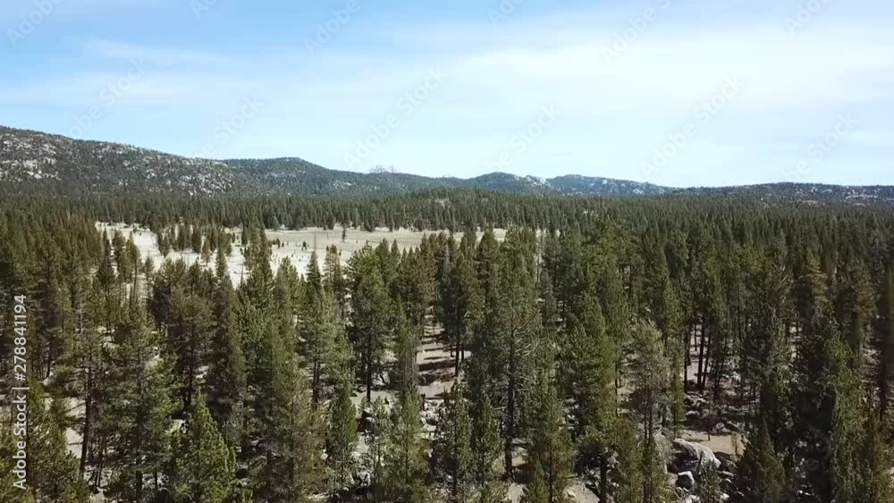 Aerial view of Californian forest, fly by shot Aerial view of Californian forest, fly by shot