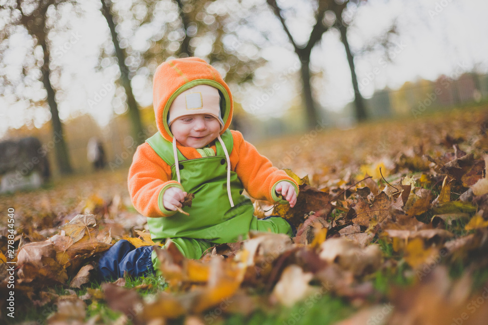 Happy baby girl playing in autumn leaves